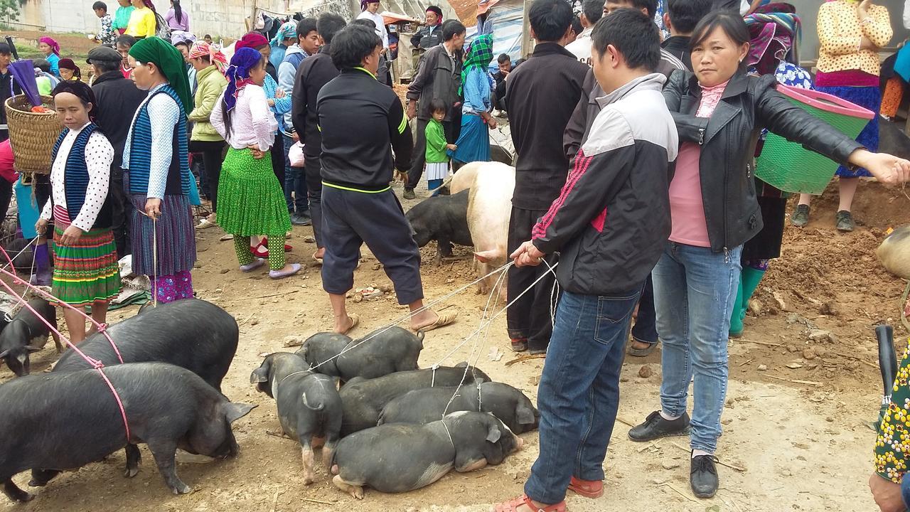 Binh Minh Hostel Dong Van  Zewnętrze zdjęcie